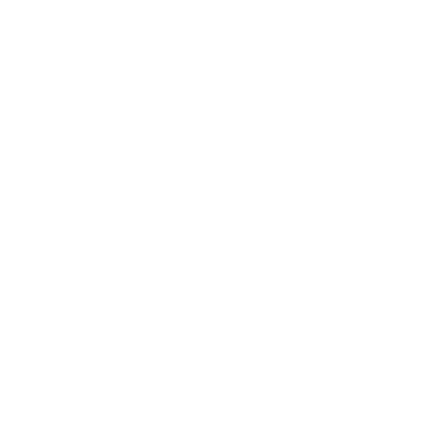 Aln Shop